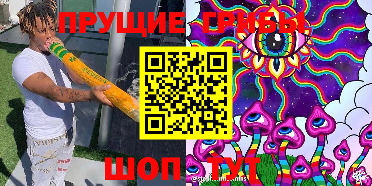 Медногорск  Псилоцибиновые грибы GOLDEN TEACHER  наркошоп  Вход с VPN  Псилоцибиновые грибы ЛСД 